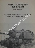 Book cover of What Happened to Steam by HANDS, Peter